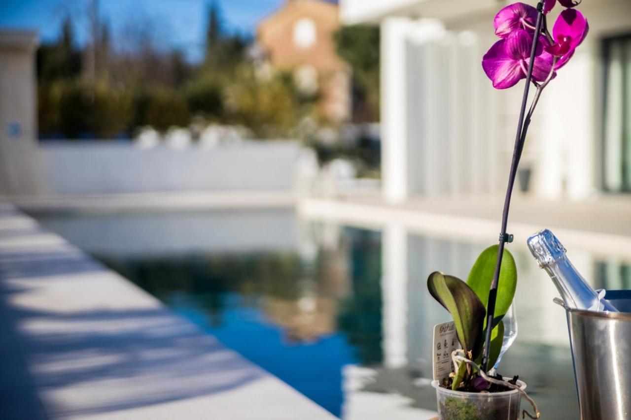 Villa Milly Vrh  Exterior foto